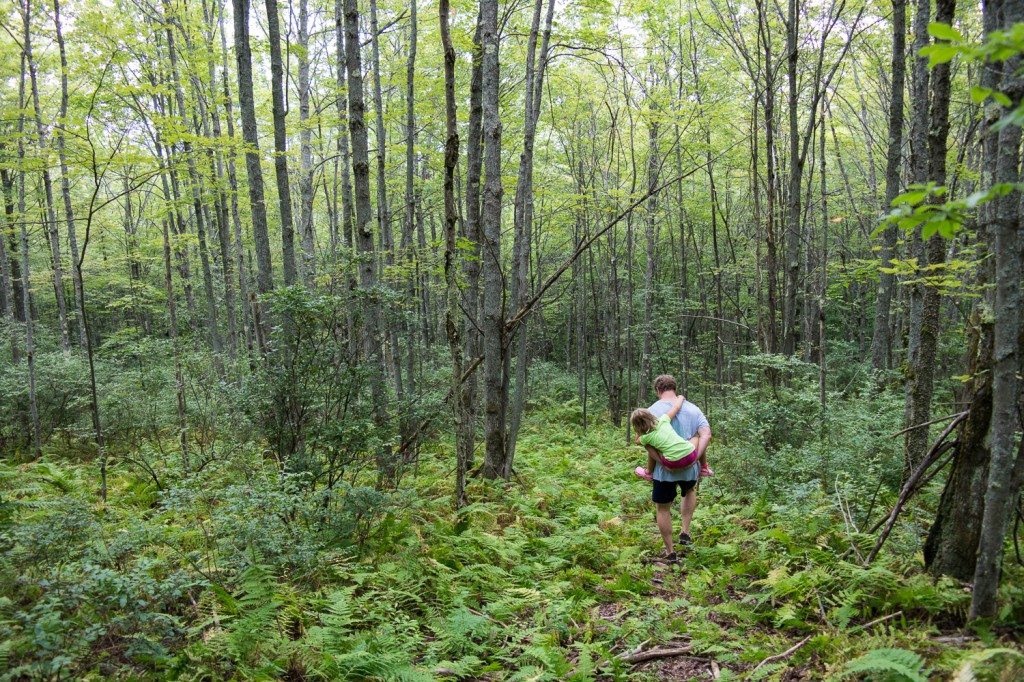 photo_tips_spring_people_walk-in-woods-1024x682