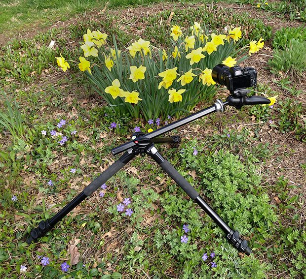The perfect tripod for flower photography is often the most adjustable tripod. You will inevitably want to get the camera very close to the ground and it’s nice for the center pole to extend to the side to get the legs of the tripod out of the way.