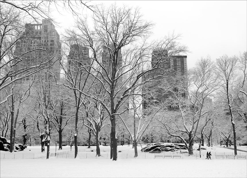 I was working in New York for a week last year and when the snow started coming down, I skipped breakfast and went for a walk in Central Park and was happy—hungry—but happy I did.