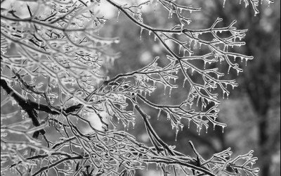 Don’t Wait to Photograph Snow