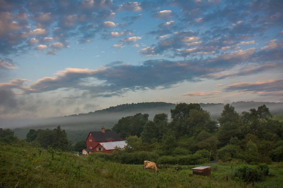 What I Learned in our First Country Weekend Photography Workshop