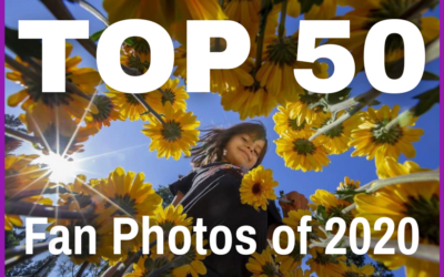 Top 50 Fan Photos of 2020